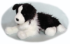 Douglas Chase Border Collie